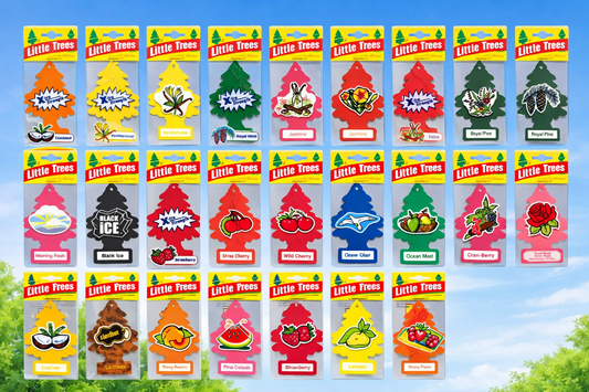 Little Trees Air Fresheners: The Complete Scent Guide & Best Place to Buy Online