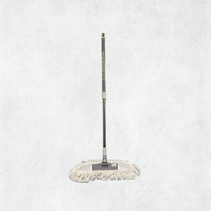 Dust Mop with Extendable Handle