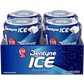 Dentyne Ice Bottle Sugar Free Gum