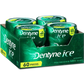 Dentyne Ice Bottle Sugar Free Gum